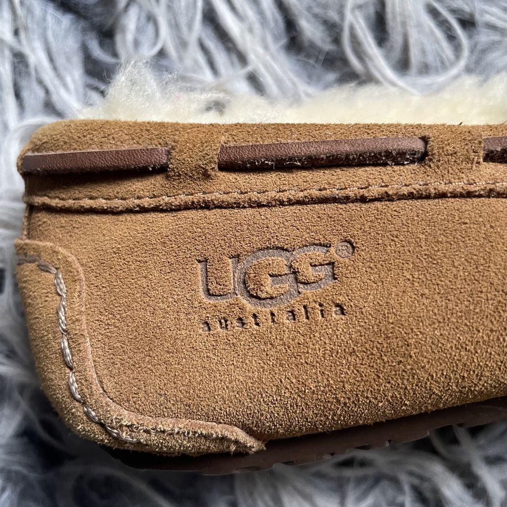 Buty Dakota Camel UGG Australia [34]