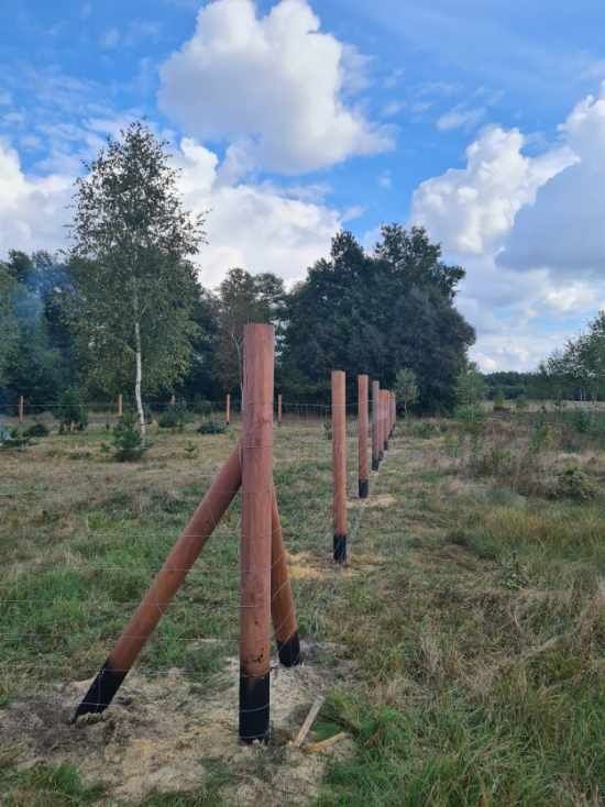 Ogrodzenie budowlane, ogrodzenie leśne, ogrodzenie tymczasowe