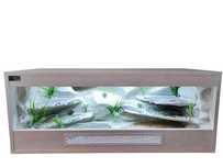 Terrarium pustynne nr612 100/40/40 dla agamy karłowatej NA ZAMÓWIENIE