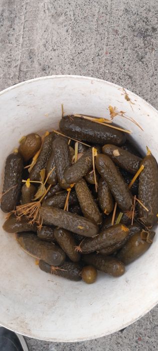 Продам солёный огурец