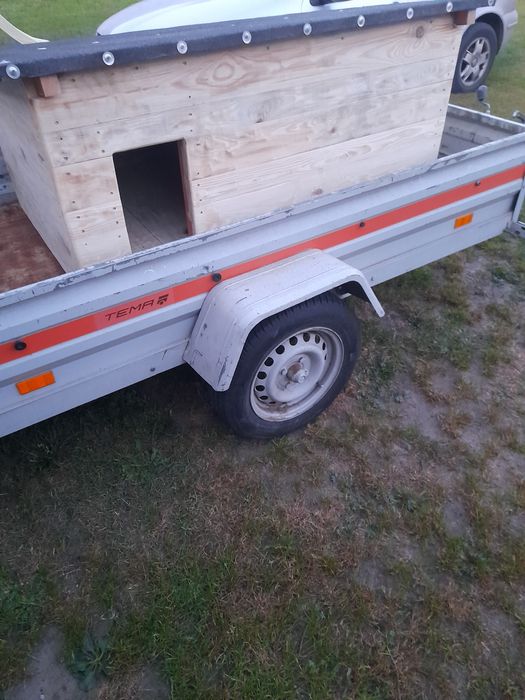 Buda dla psa nowa