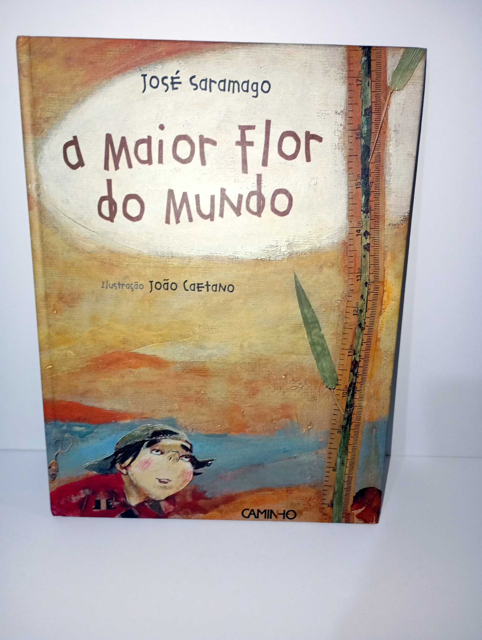 A Maior Flor do Mundo - José Saramago