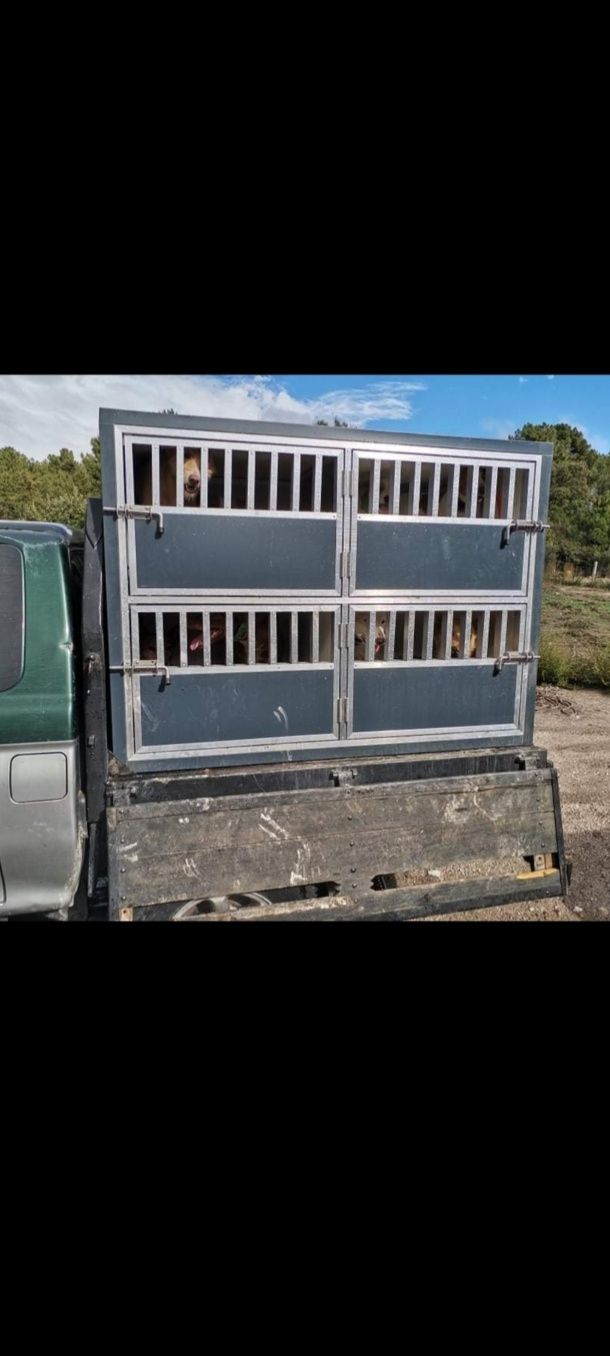 Transportadora para cães