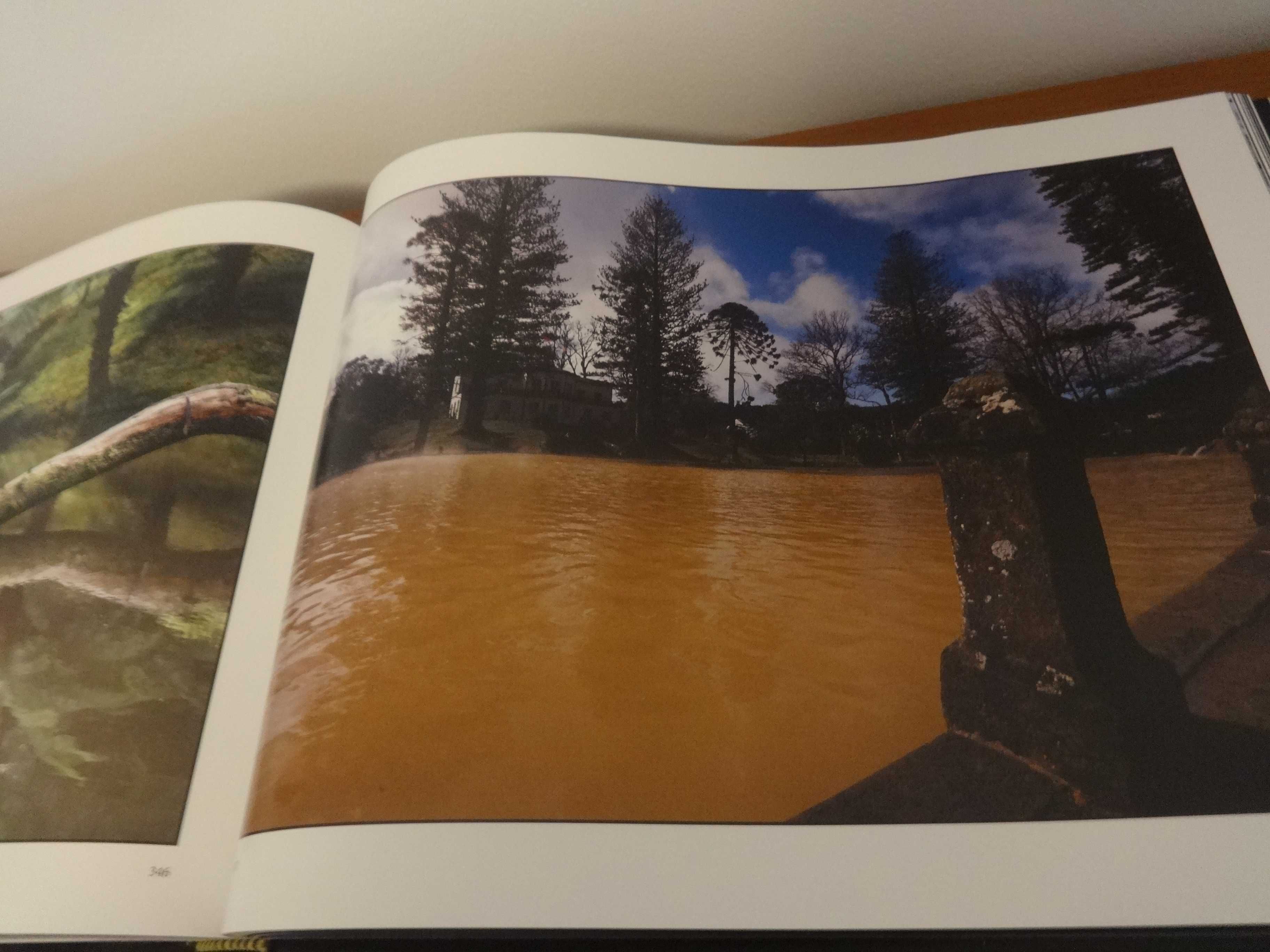 Livro "Açores – O Poema da Luz”
