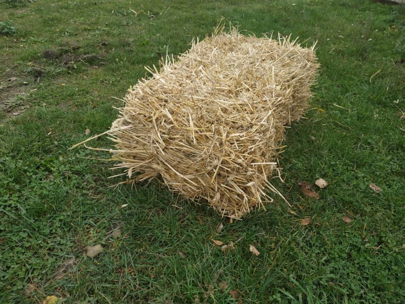 Продам тюки соломи