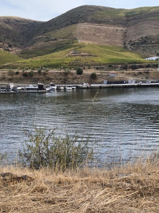 Terreno rústico em Moncorvo