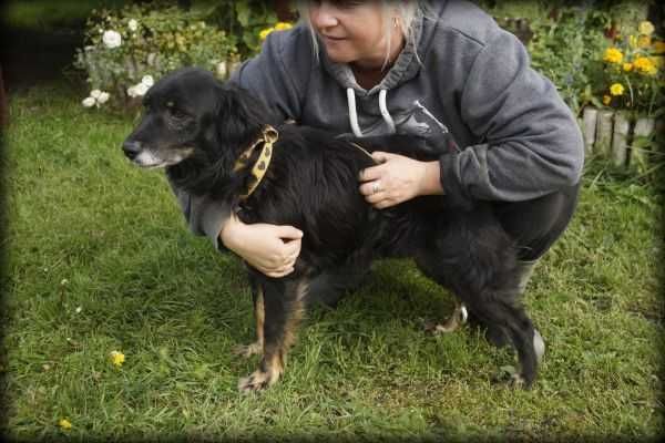 Czaruś - słodki, mały psiak poleca się do adopcji