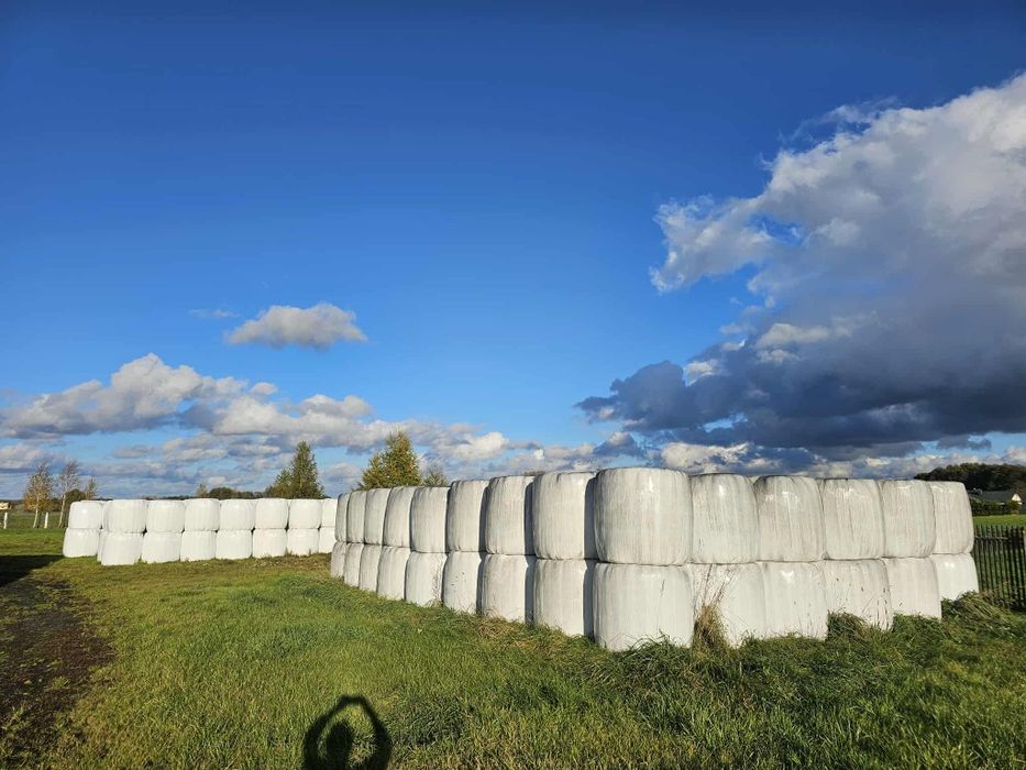 Baloty sianokiszonki