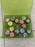 15 Rolleres Pokemon