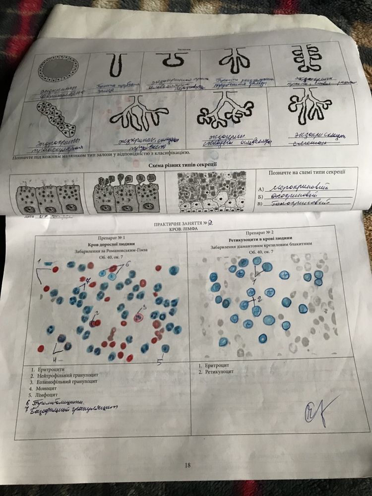 Загальна гістологія. Модуль 1. Мельник Н.О., Чайковський Ю.Б. + Зошит