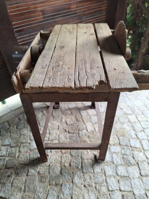 Krajzega piła stołowa