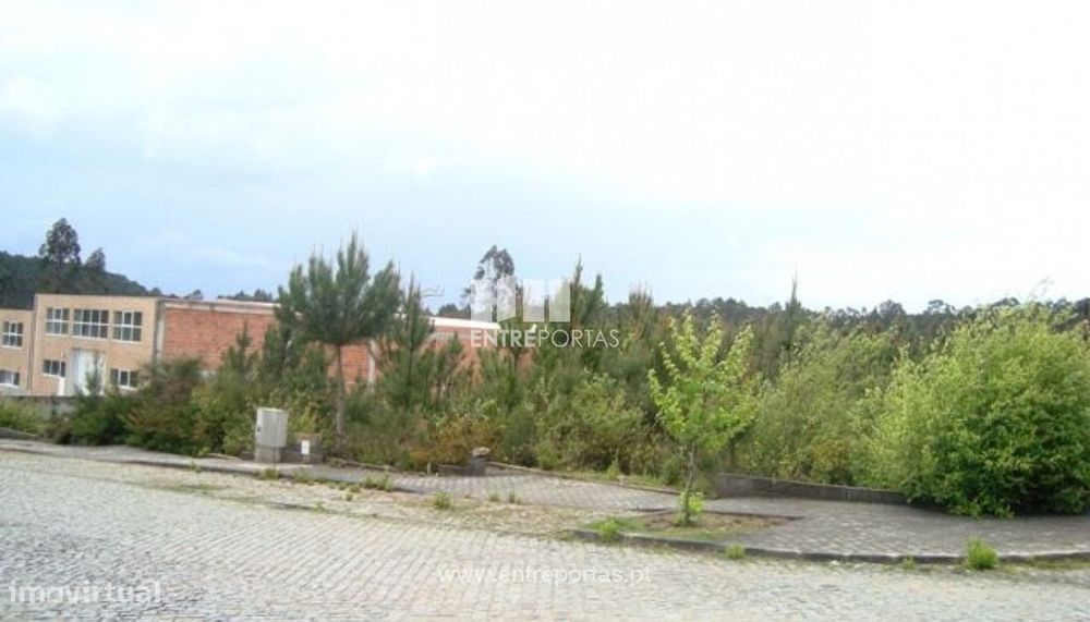 Lote Industrial - Fragoso