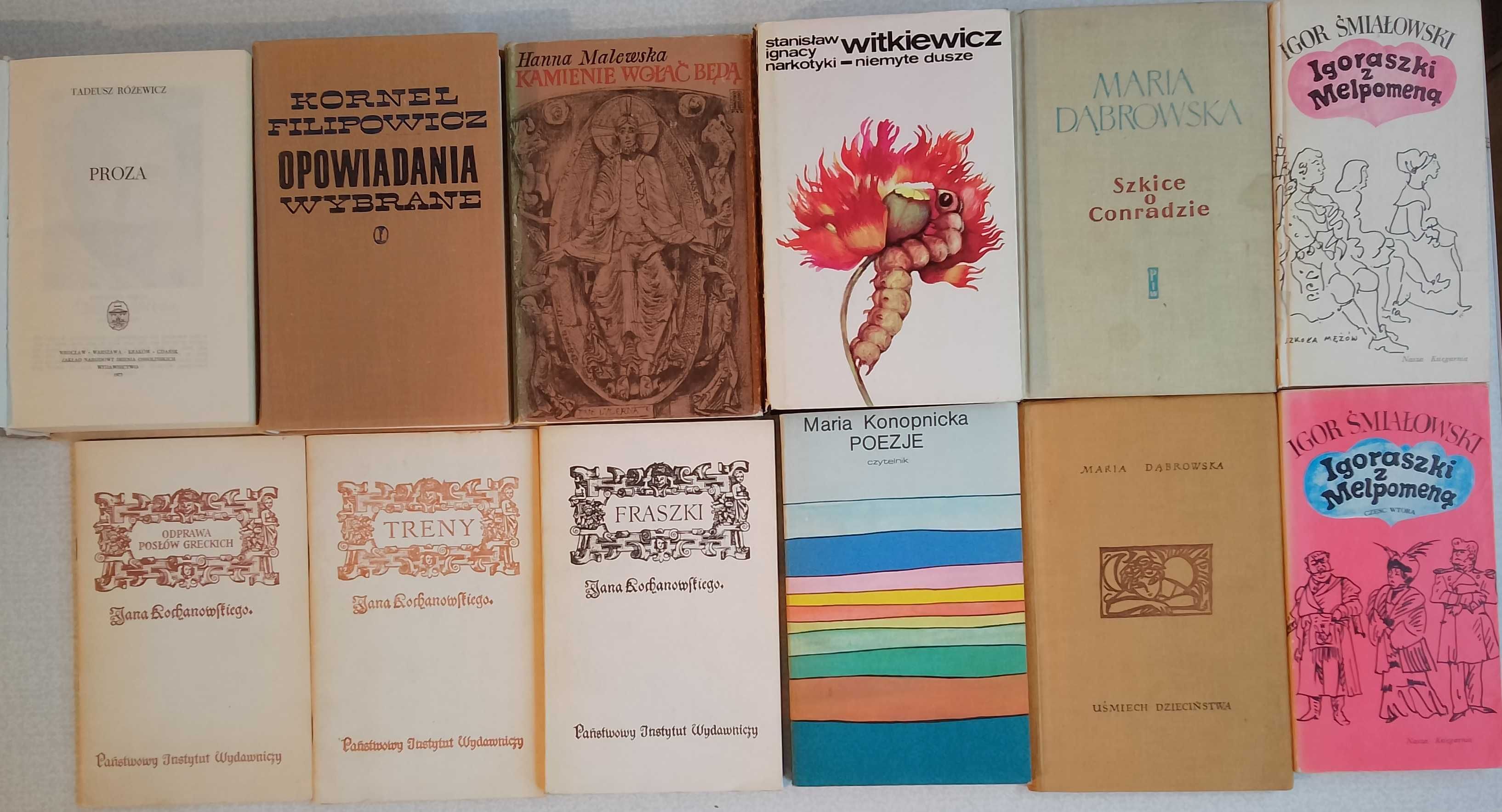 Literatura piękna polska i obca - autorzy rozmaici; 45 książek