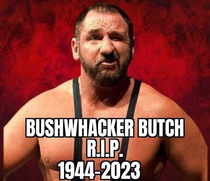 The Bushwackers Butch & Luke Tag Team WWF WWE Wrestling Hasbro