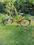 Rower Damski 26”