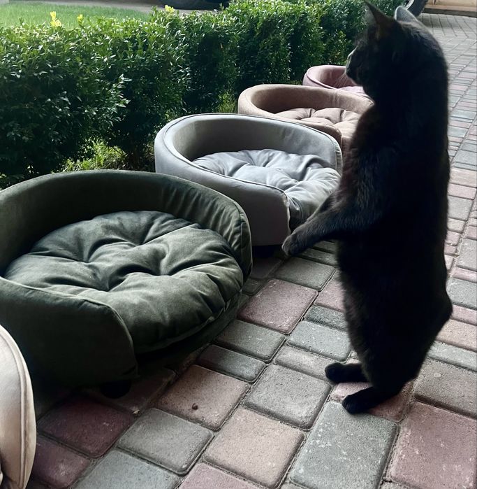 автокресло сумка переноска ступеньки лежак лежанка норка одеяло ,