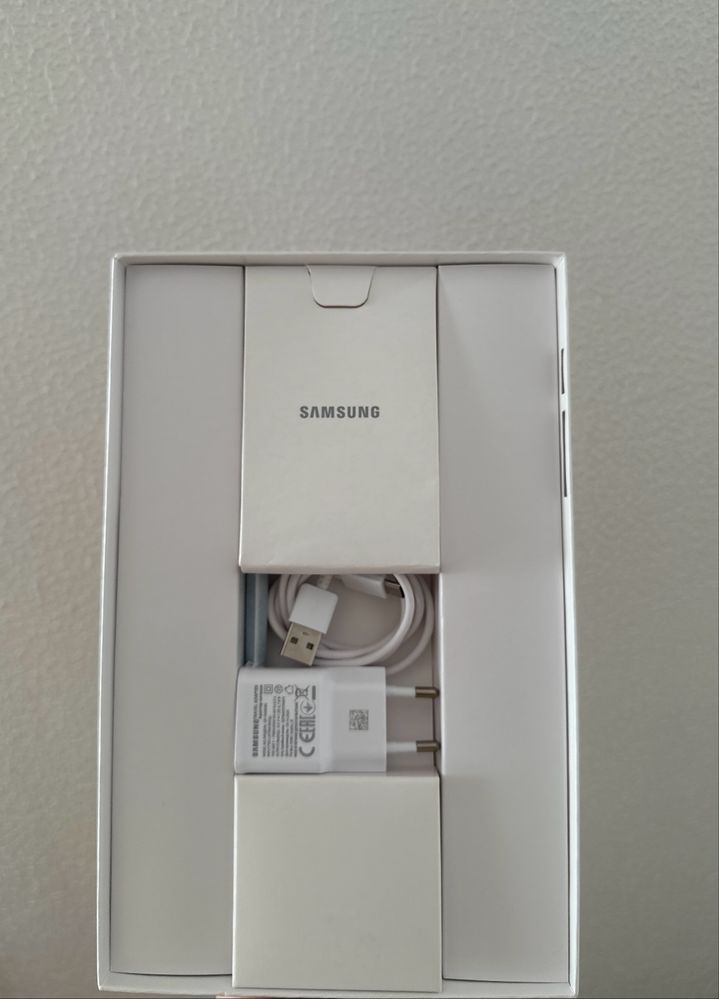 Samsung Galaxy Tab S6 Lite 2022 (Wifi) | Excelente estado