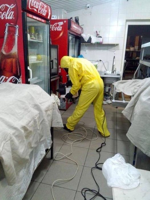 Дератизация травля крыс Травля клопов и тараканов холодным туманом