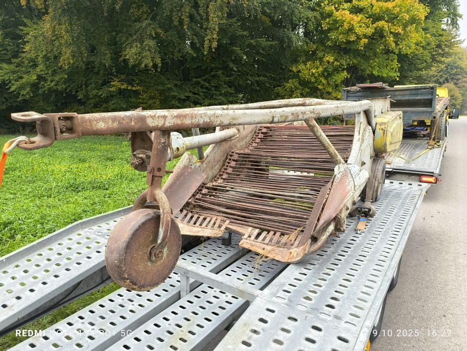 Kopaczka dwurzędowa