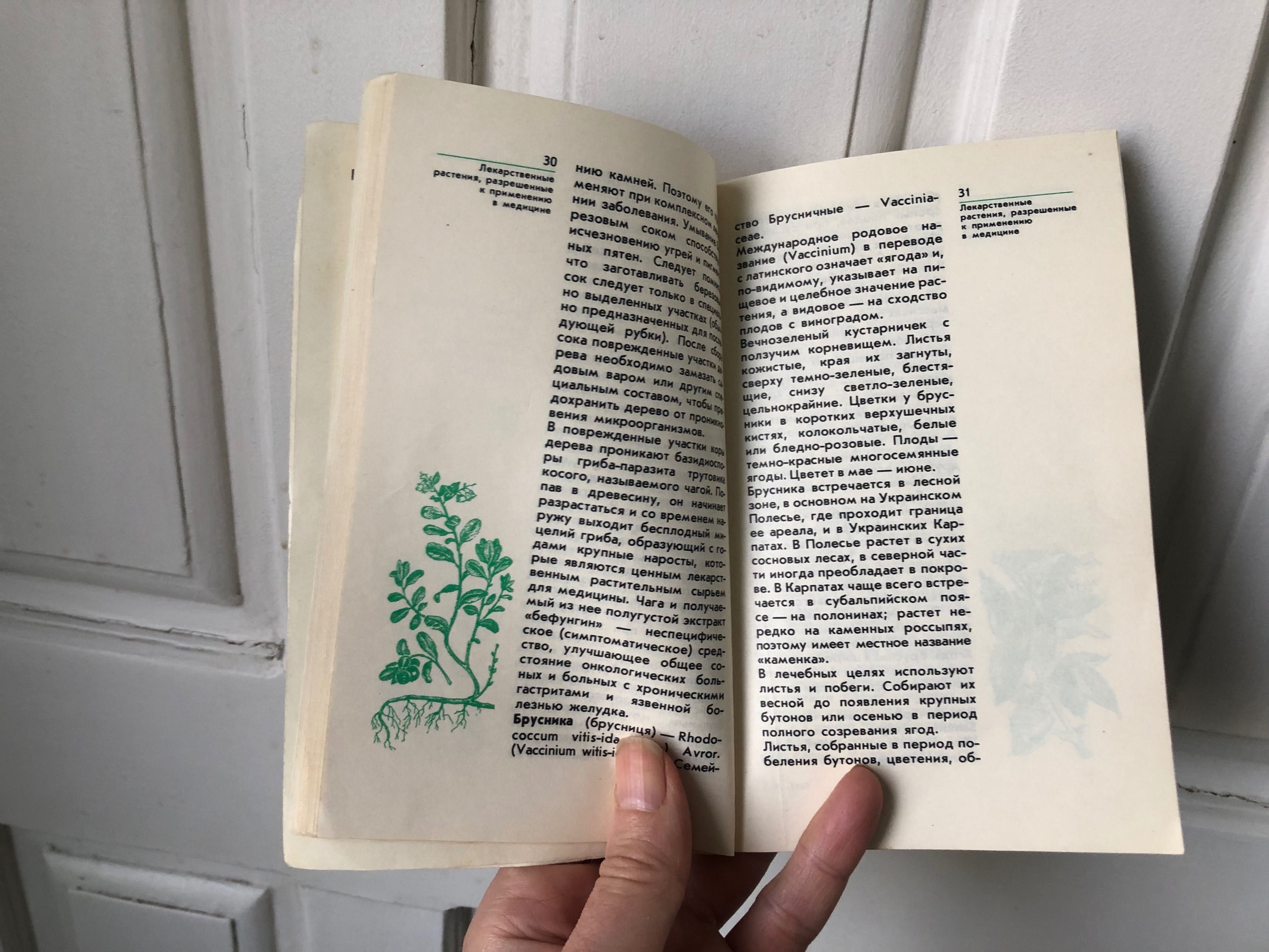 Книга Растения зеленой аптеки