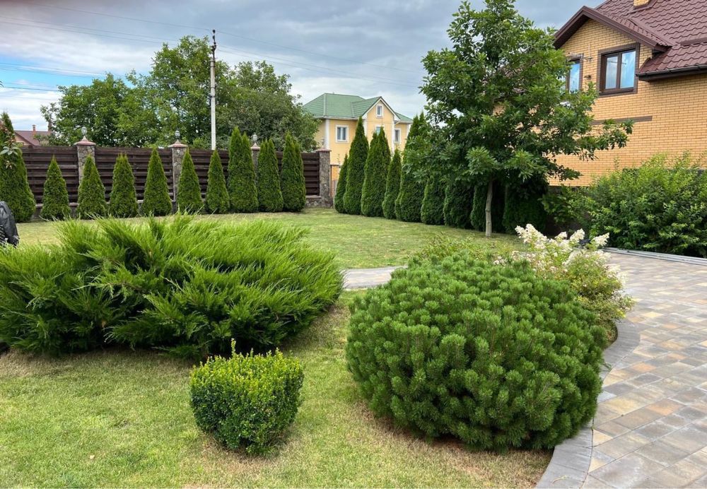 С.Велика Олександрівка ,Бориспільський р-н