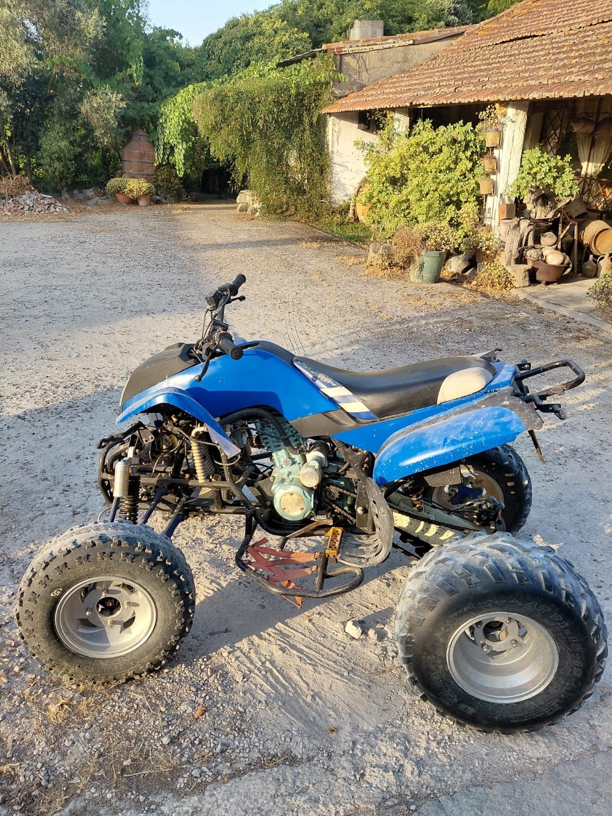 Moto4 Bashan BS200-7