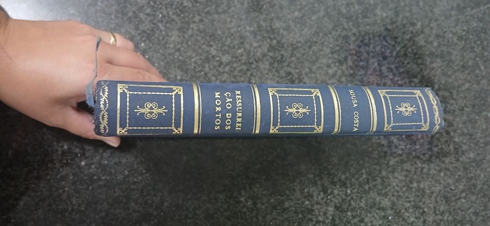 Livro Ressurreição dos Mortos  - Na terra do vinho I