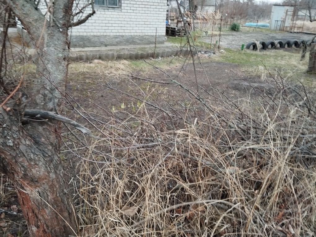 Продам дачный участок Рассвет 2