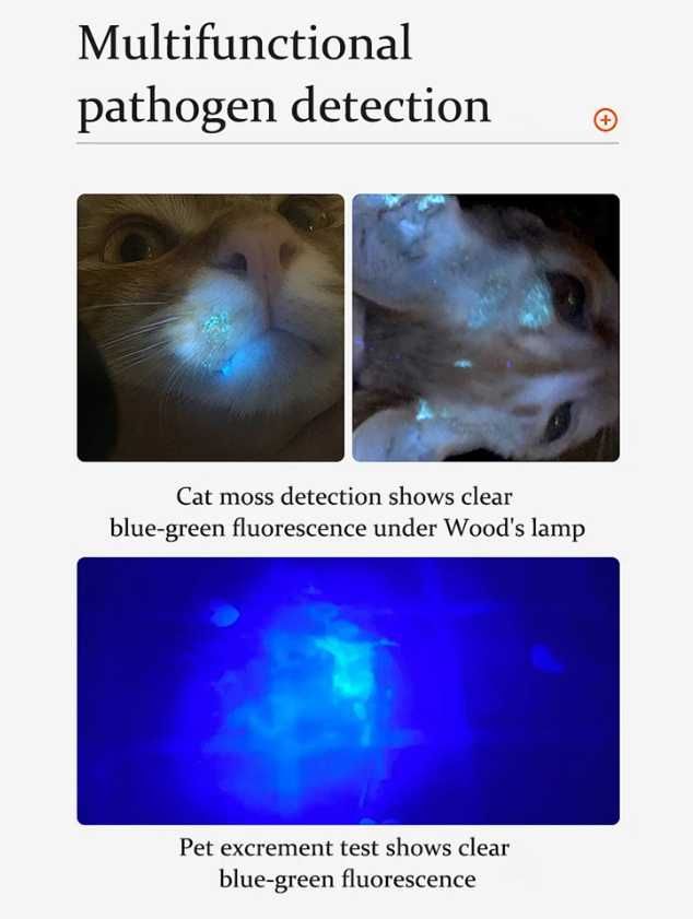 Laser UV dla Kota Weterynaryjny do Wykrycia Grzybica Kota Innowacyjny