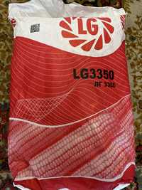 Продам насіння кукурудзи LG3350 ОРІГІНАЛ