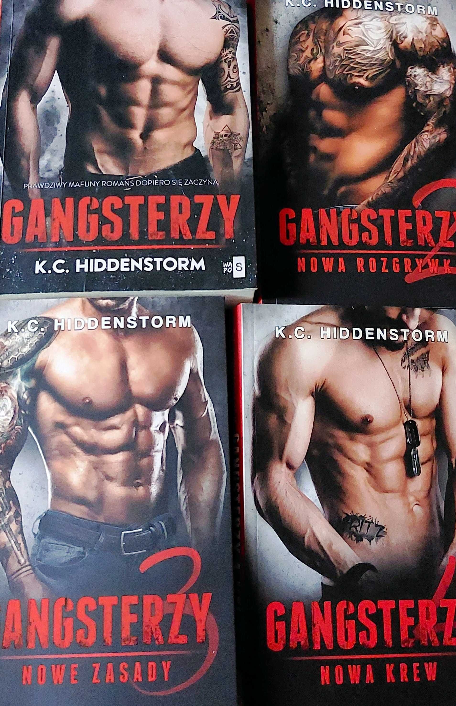 GANGSTERZY - Hiddenstorm | 4 części książek - komplet
