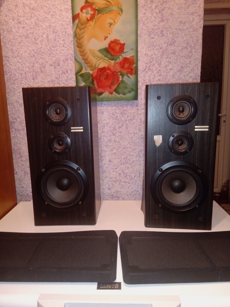 Акустика Pioneer SJ 200