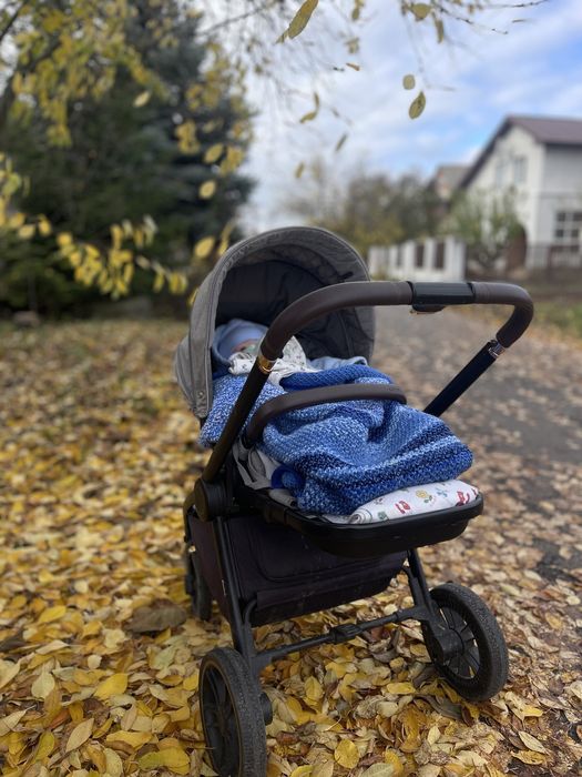 Коляска carello epika