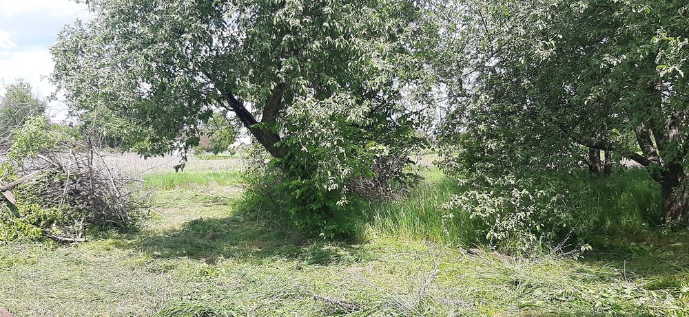 Продам господарство Котельва