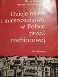 Dzieje miast i mieszczanstwa w Polsce przedrozbiorowej