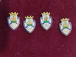 Pin / emblema do CD Feirense