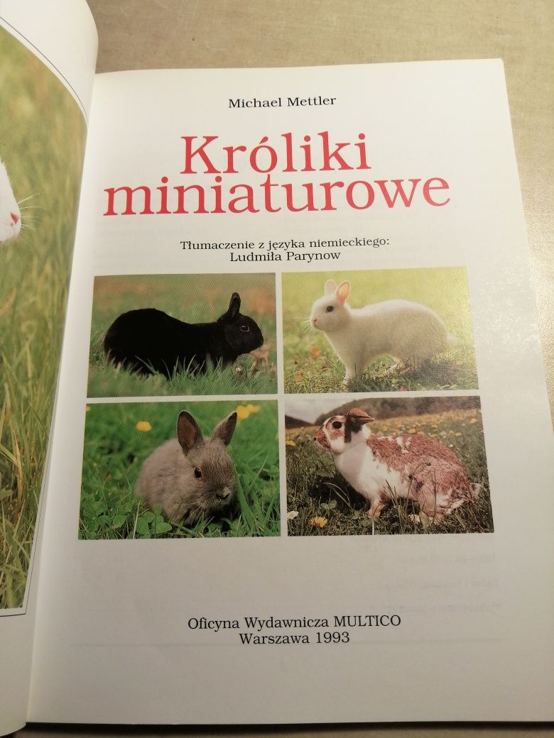 Króliki miniaturowe mettler