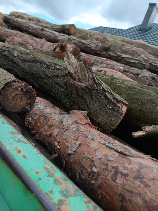 Drzewo, drewno opałowe suche sosna, dąb