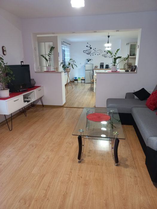 Apartament Drewniak - Bielice 13/1