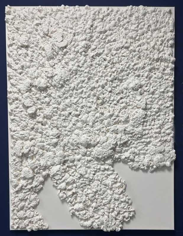 Ręcznie malowany obraz na płótnie Organic 3D 88x118cm Malerifabrikken