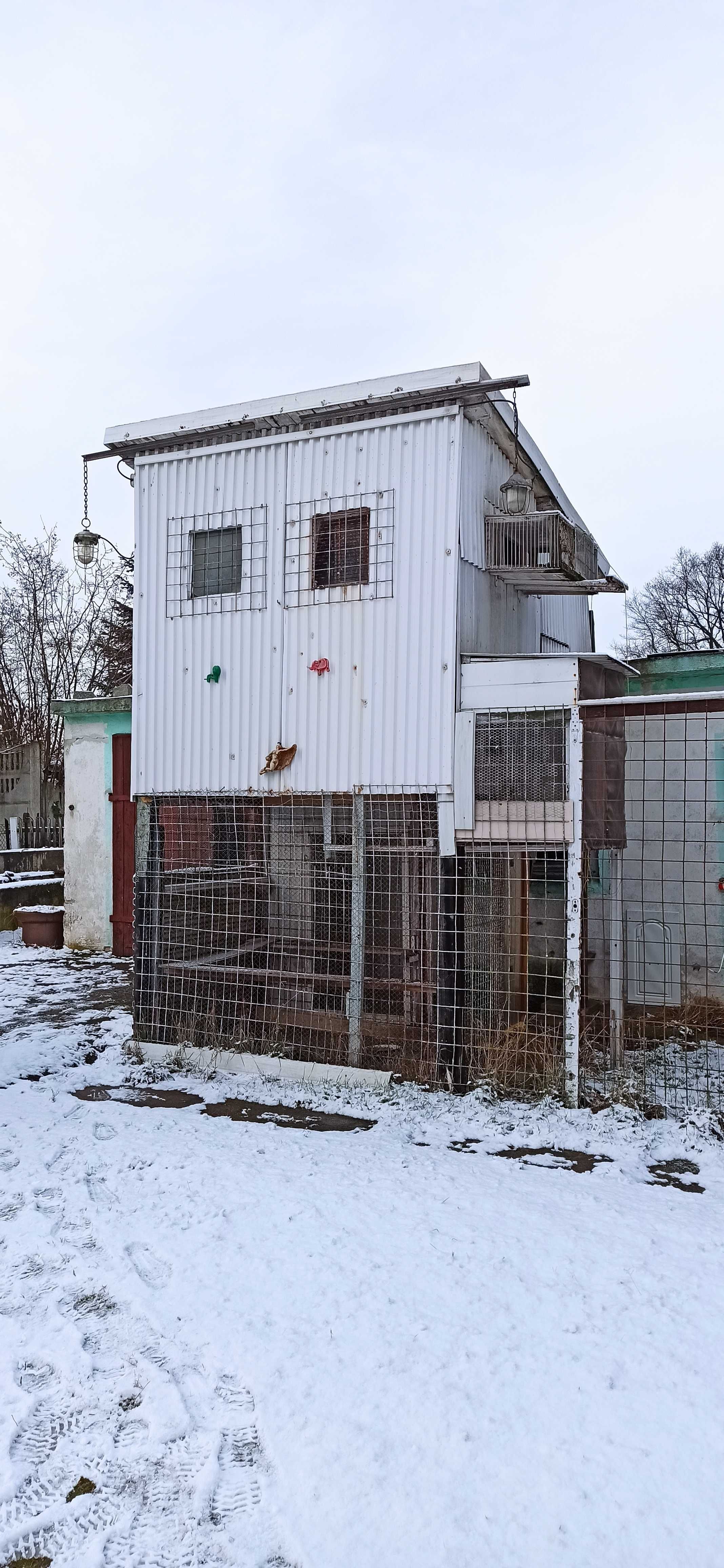 Golebnik wolnostojacy