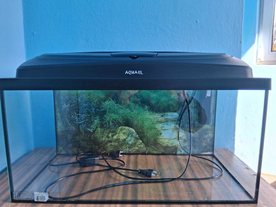 Akwarium 54l z wyposażeniem