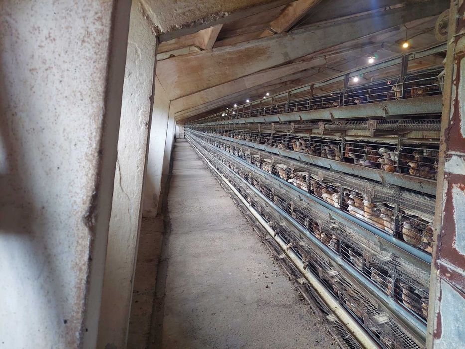 виробничі приміщення  понад 2000 м/кв оренда.