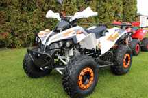 QUAD KŁAD 125 110 cc Model Varia Koła 8 Cali Full Opcja Wysyłka