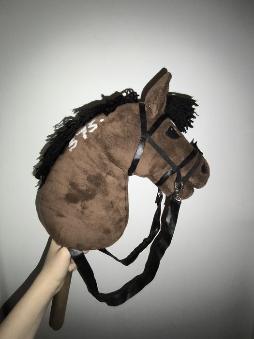 Brązowy hobby horse