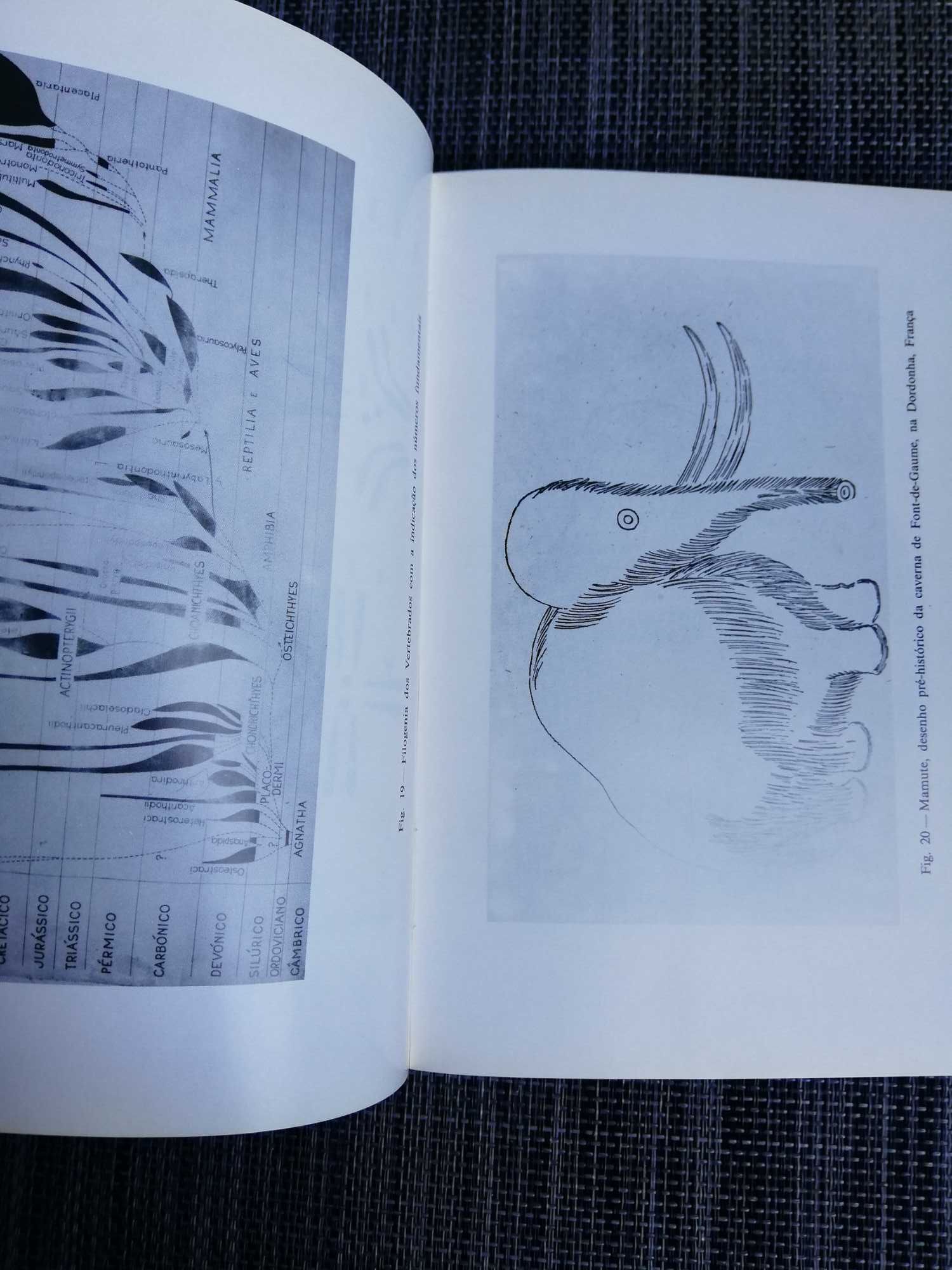 Fundamentos de Zoologia Sistemática - Amílcar Mateus