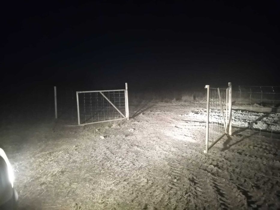 Ogrodzenia z sitaki leśnej, ogrodzenia tymczasowe, siatka leśna.