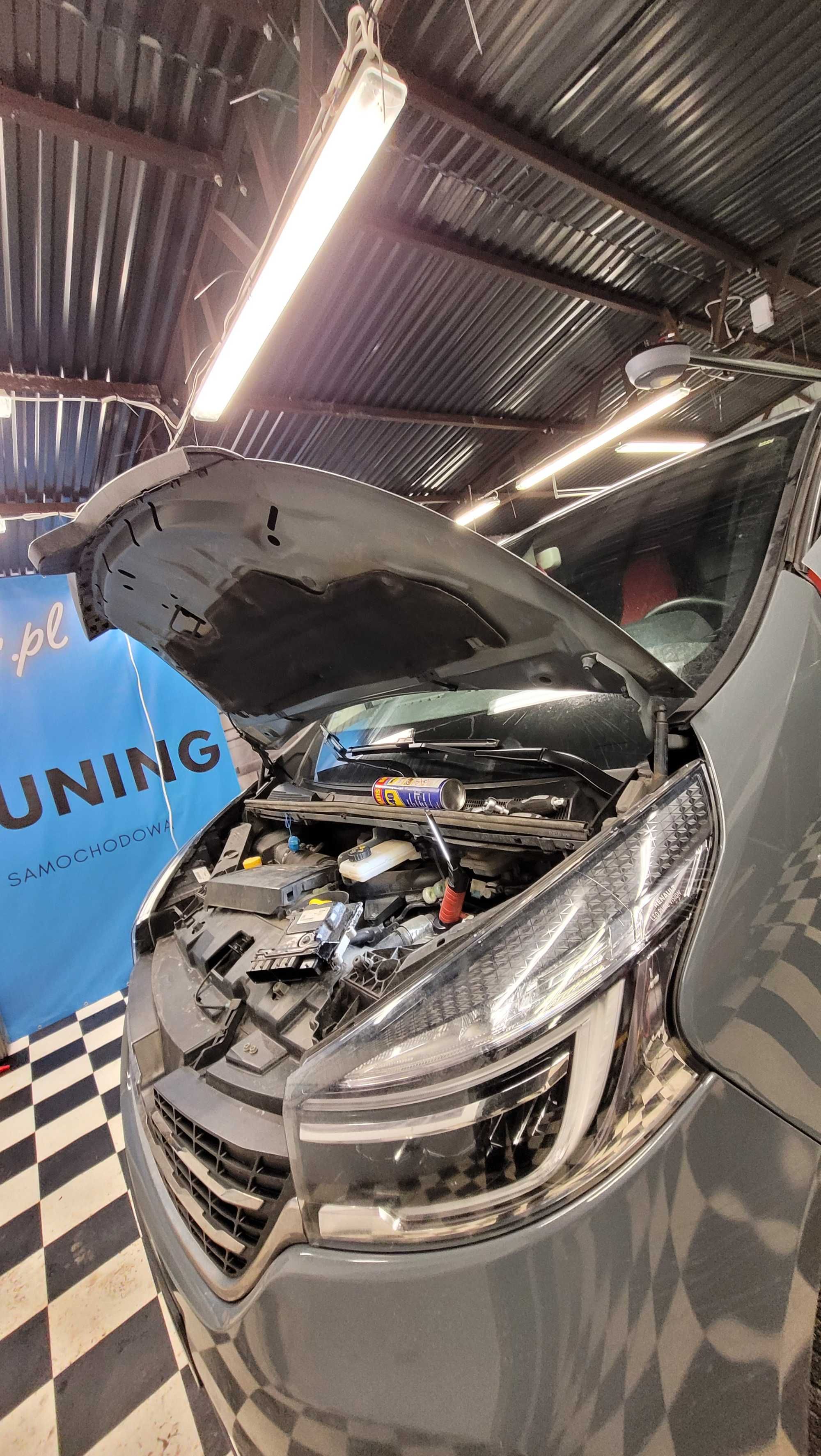 Serwis Naprawa SCR AdBlue UREA NOX DPF FAP EGR DTC Lambda Chip Tuning