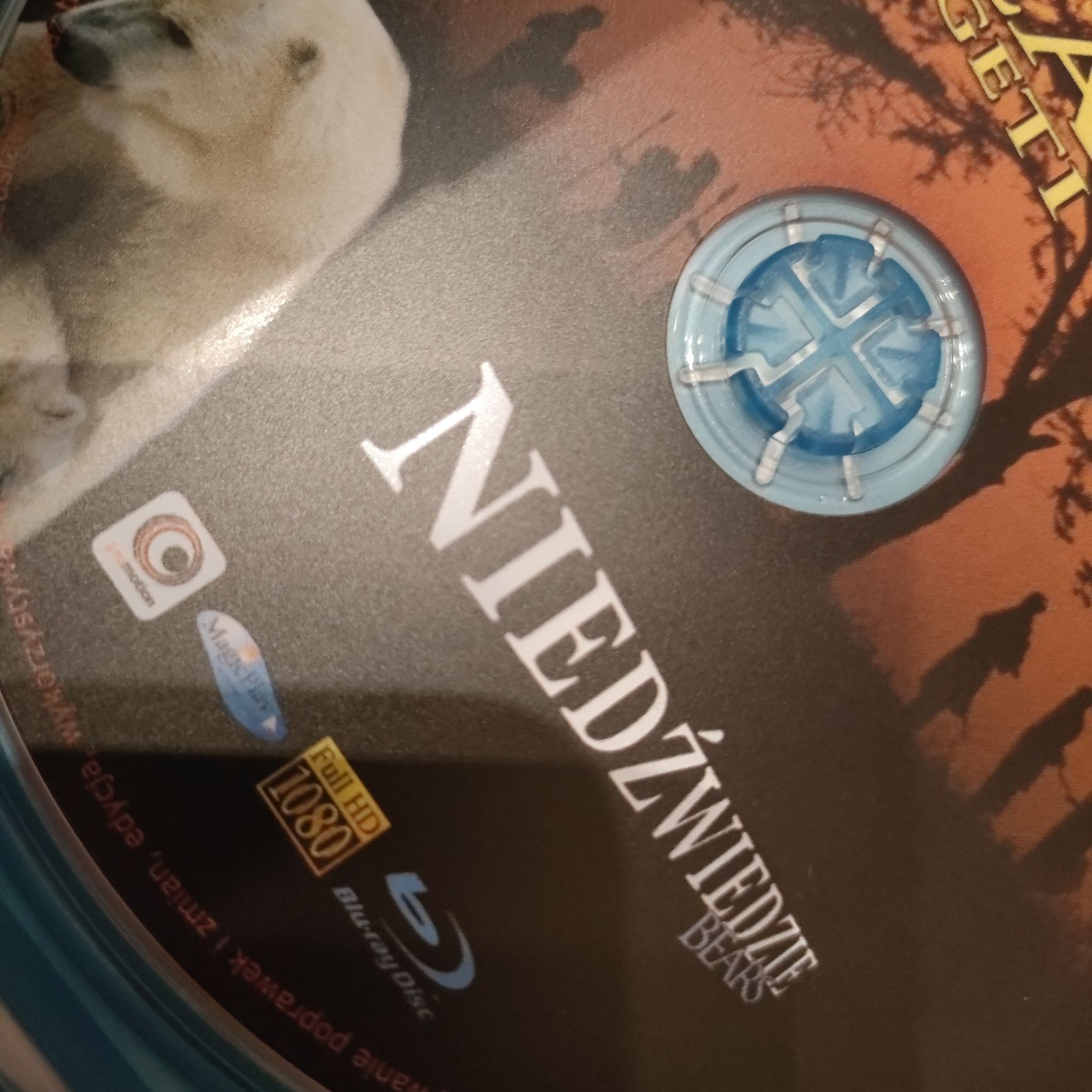 Film ma Blu-Ray Full HD - Afryka , Niedźwiedzie