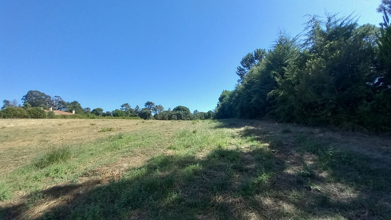 Terreno 10.000 m2 Santarém